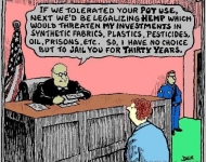 hemp_judge_cannabis_pot_illegal
