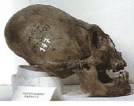 alien_pharo_skull