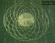 cc14