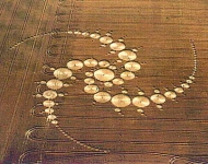 cropc96