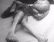 recovered_alien_crash_photo_genuine