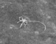 space_moon_anomolies_5
