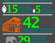 meme_parody_infographic_thumb