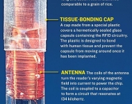 rfid_infographic