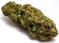350Cannabis