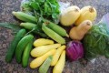vegetables