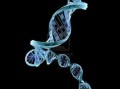 Synthetic_DNA