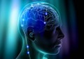 brain_chip
