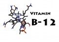 vitamin-b-12