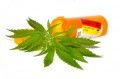 Medical_cannabis_tapped