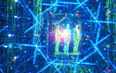 The Holographic Universe