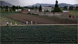 Osama bin Laden compound in Abbottabad Pakistan where the 2011 Navy SEAL raid took place