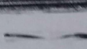 Alleged sea creature sighting in dark waters resembling Loch Ness Monster