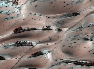 Leaf on Mars