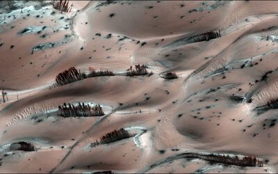 The Trees on Mars Illusion: What NASA’s HiRISE Camera Actually Captured