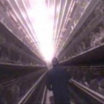 undercover-egg-investigation-mfa-300x232