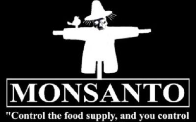 Ten Environmental and Health Concerns Linked to Industrial Agriculture and GMO Crops