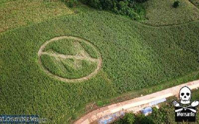 WikiLeaks Cables Exposed US Trade Retaliation Against Nations Opposing Monsanto GMO Crops