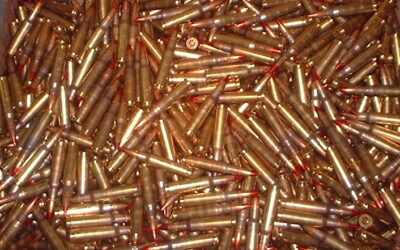 Government Bulk Ammunition Purchases Sparked Civilian Shortage in 2012