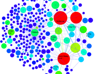 Bitcoin Anonymity Under the Microscope: How Network Analysis Exposes Users