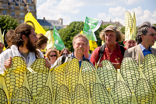 Protest picnic against genetically modified organisms and Monsanto crops