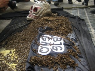 Occupy Monsanto Poland Dumps Thousands of Dead Bees in Protest