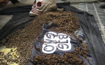 Polish Beekeepers Dumped Thousands of Dead Bees at Ministry to Protest GMO Crops