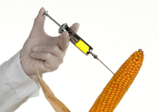 Outrageous Lies Monsanto and Friends Are Trying to Pass off to Kids as Science