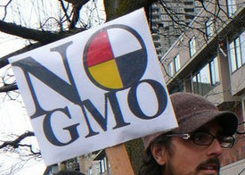 Anti-GMO protest sign opposing Monsanto genetically modified organisms