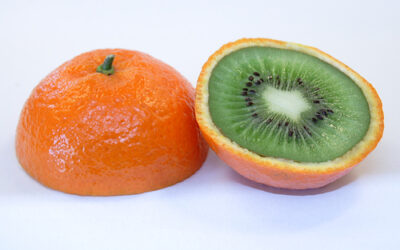 10 Genetically Modified Foods in Your Grocery Store and Why They Raise Health Concerns