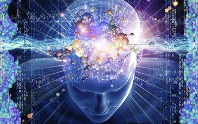 Holograms, Black Holes, and the Nature of the Universe