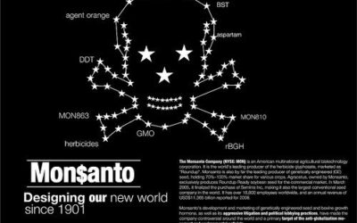 Monsanto Drought-Resistant GMO Corn Trial Approved as Small Farmers Fought Back