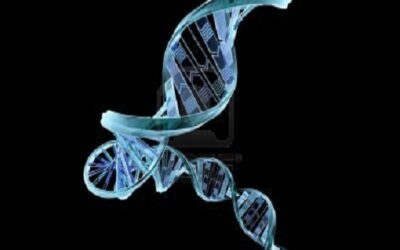 How to store a book in DNA