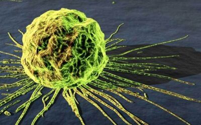 Natural Cures For Cancer – Why Are We Not Being Told About ?