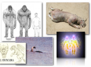 July 30, 2012 – DCMX Radio:  Top & Weekend News, Crypto-Zoology, Un-Explained Creatures, & What Kind of SOUL are you?