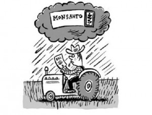 Anti-Monsanto protest sign in the rain highlighting corporate seed control