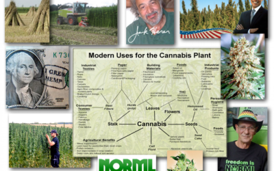 August 31, 2012 – DCMX Radio: Cannabis, Hemp, Marijuana: The Eco-Super-Plant and its Threat to the Profit Driven Synthetics Industry