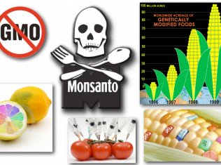 August 8, 2012 – DCMX Radio: Genetically Modified Organisms – It’s a Trap!  How it Happened, Who’s to Blame, What to do about it!