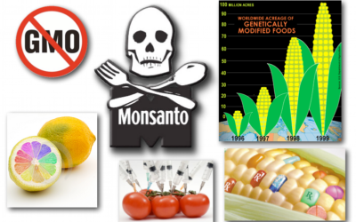 August 8, 2012 – DCMX Radio: Genetically Modified Organisms – It’s a Trap! How it Happened, Who’s to Blame, What to do about it!