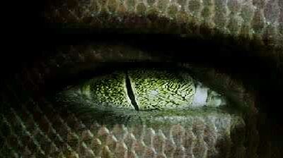 The Lacerta Files: Interview With a Reptoid of the Inner Earth?