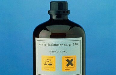 10 Everyday Foods That Contain More Ammonia Than Pink Slime