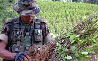 How Banks Launder Billions for Drug Cartels