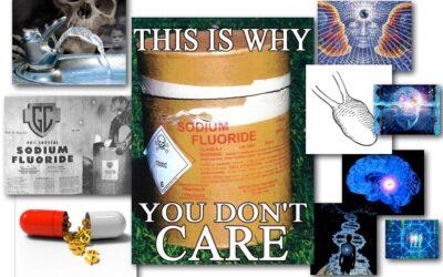 September 25, 2012 – DCMX Radio: Fluoride History, Danger, Subversion! An Industry By-Product that Lowers IQ, Induces Apathy