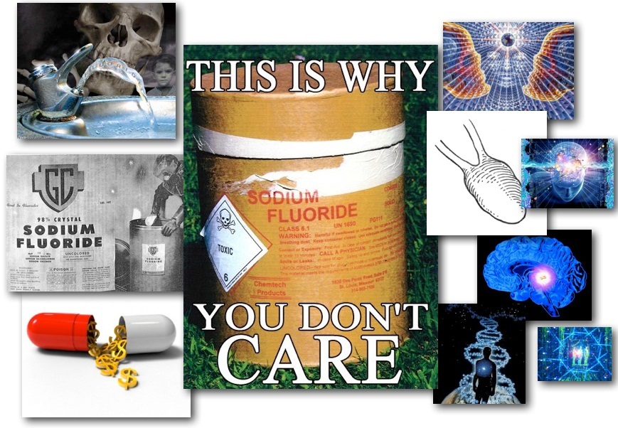September 25, 2012 – DCMX Radio: Fluoride History, Danger, Subversion! An Industry By-Product that Lowers IQ, Induces Apathy