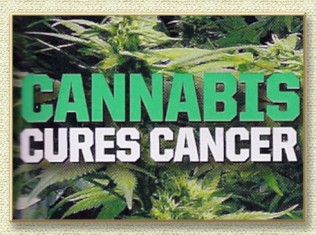 Marijuana And Cancer: Scientists Find Cannabis Compound Stops Metastasis In Aggressive Cancers