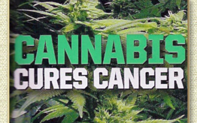 Cannabis Compound CBD Stops Cancer Metastasis in Lab and Animal Studies