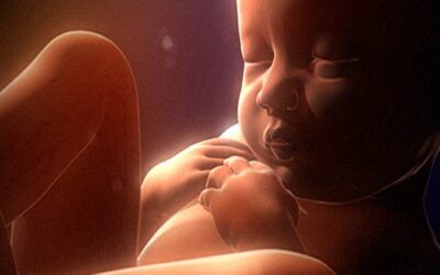 Womb Wisdom: The Ancient Feminine Power Hidden Within Every Woman