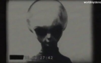 INCREDIBLE: Vintage Leaked Alien Footage?