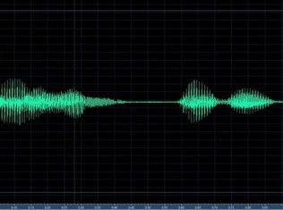 Biometric Voice-Identification Technology Leads to Arrests of Terrorist Suspects in Europe