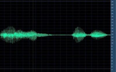 How Biometric Voiceprinting Helped Uncover a European Terror Plot